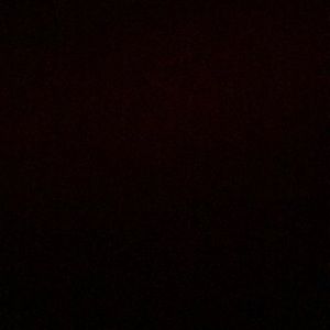 Meet your Posher, Brendan